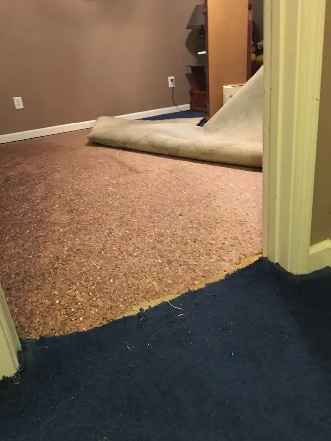 Carpet pad removal revealing water damage during Water Mitigation Services in Pocahontas