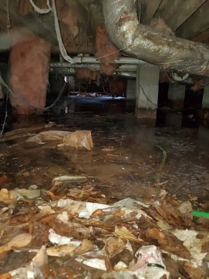 Crawl space flood assessment for Leak Detection & Repair in Pocahontas